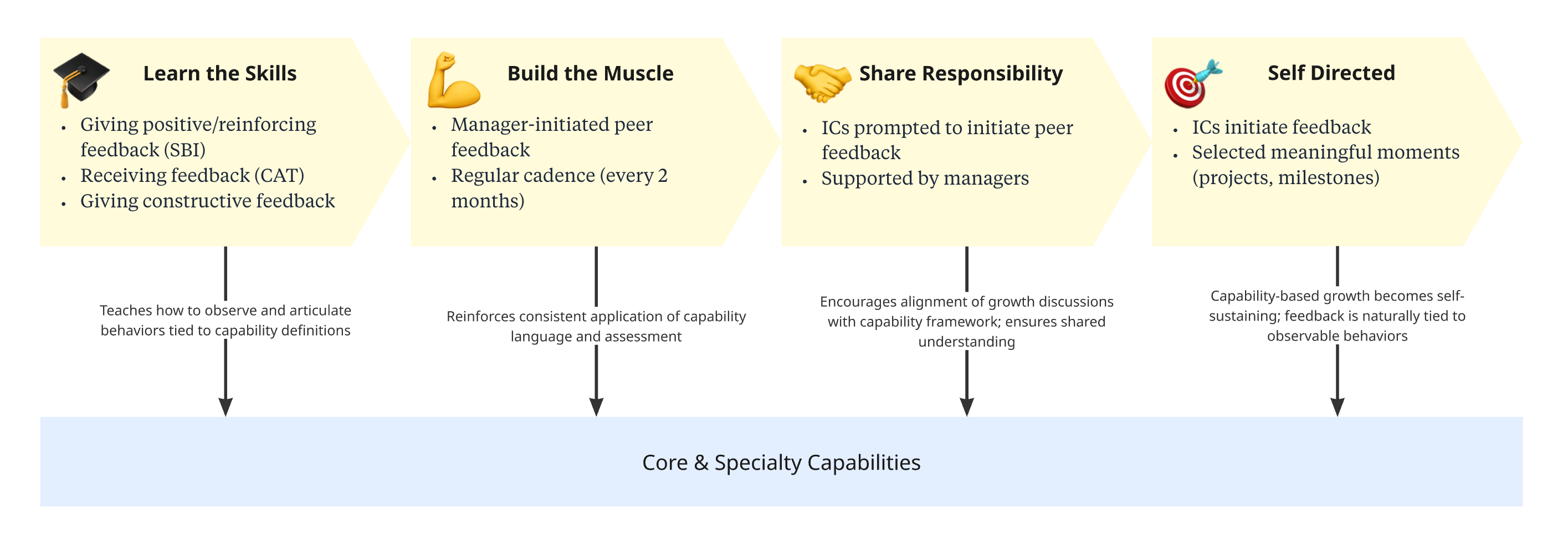 Feedback is the engine that drives growth in core and specialty capabilities, evolving from training to self-directed practice.